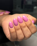 Mauve Rose